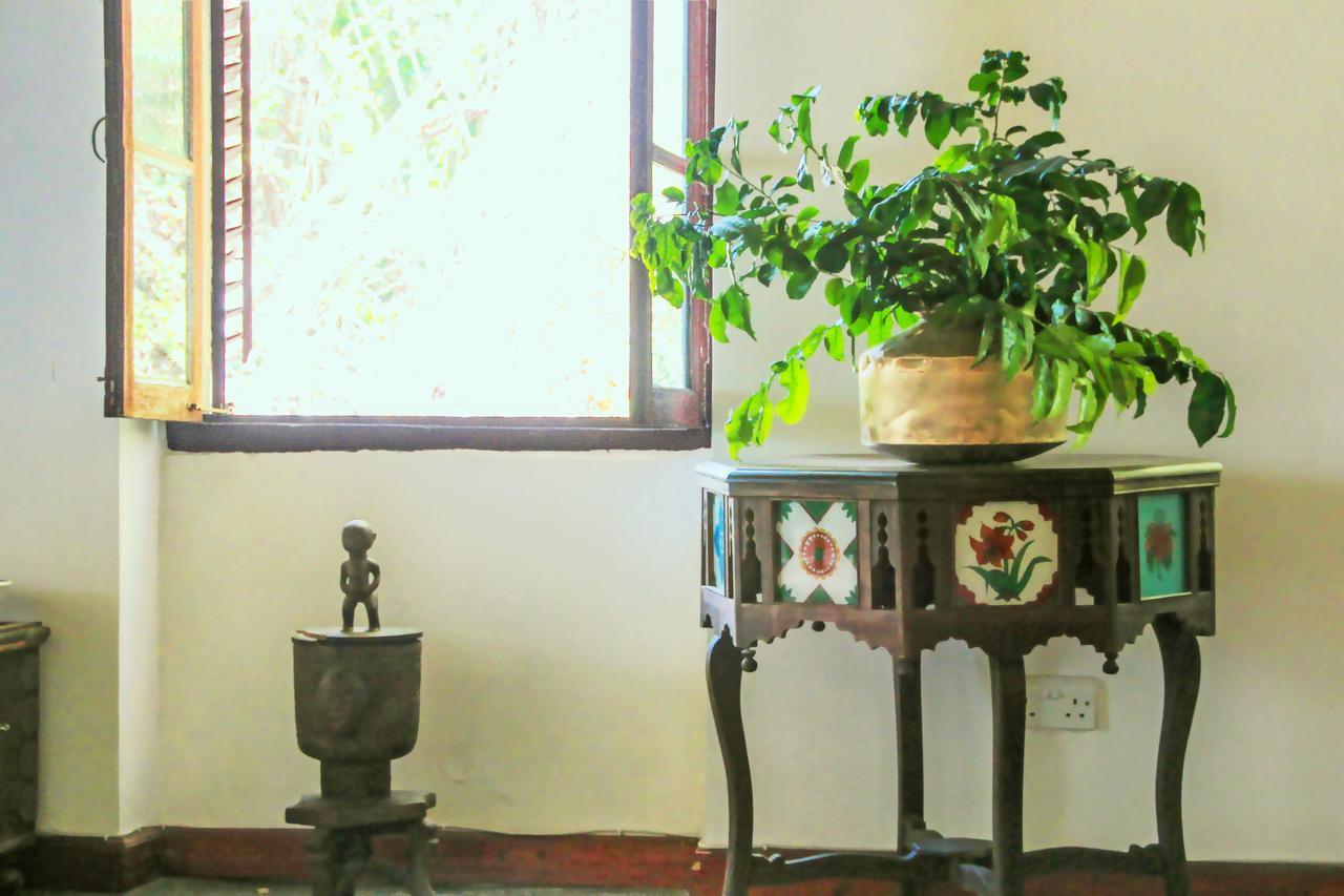 Hiliki House Panzió Zanzibár Kültér fotó